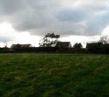 Le terrain encore vierge de tout changement.