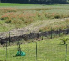 Vu de la chambre de ma fille le lot 1 et 2