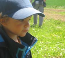 Voici le petit chef de chantier ...