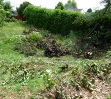 Découpage de la haie séparant les 2 parcelles