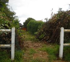 Tous les arbres sont coupés. A evacuer ... pffff !!