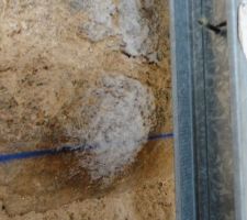 En d&eacute;montant les panneau de placo, nous nous rendons compte de la pr&eacute;sence de traces blanch&acirc;tres sur le mur. Ce que je croyais prendre pour du salp&ecirc;tre est en fait du givre qui se cr&eacute;e le long de l'ossature m&eacute;tallique sur le mur. Probl&egrave;me de ventilation derri&egrave;re les cloisons !