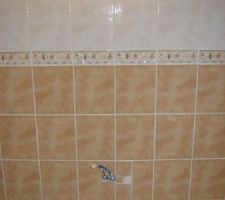 Ce pan de mur sera cahcé par la double vasque mais nous préfèrions carreler au cas où nous changions de meuble un jour