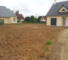 Petit netoyage