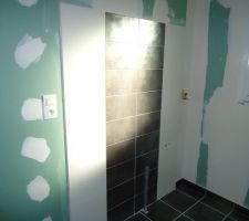 Emplacement des futures vasques