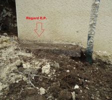 Regard EP sous le muret (en attente de solution)