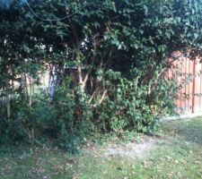 Terrain avec cabanon 63m² a detruire