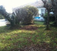 Avant montage mur voisin