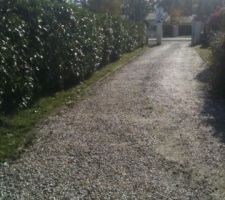 Ancienne all&eacute;e voisin et haies &agrave; arracher