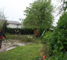 Des branches des morceaux de bois partout ! Allez tom !
