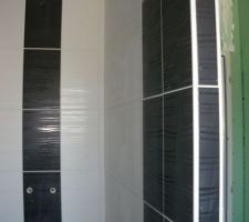 Faïence de la douche