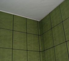 SDB CHAMBRE BAS PLANEITE PLAFOND