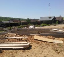 Vue du fond du jardin