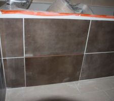 Trappe pour siphon
salle de bain, la partie dans le contrat constructeur est finis, reste ma partie...