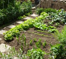 Le potager de papy et mamy