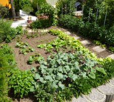 Potager de papy et mamy