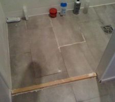 Douche &agrave; l'italienne avec contrepente. L'eau coule vers le palier ( toujours en l'&eacute;tat &agrave; ce jour 11 juin 2012)