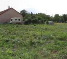 Photo du probable futur terrain.