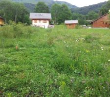 Terrain avant debroussaillage