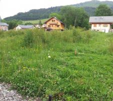 Photo 2 avant le debroussaillage...