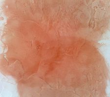 Salon : essai de couleur adopt&eacute;