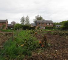 Terrain apr&egrave;s abattage