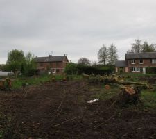 Terrain apr&egrave;s abattage