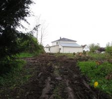 Terrain apr&egrave;s abattage