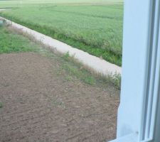 Les 2 lièvres sont perturbés. J'ai passé la motobineuse sur les 3/4 du jardin. Ils ne trouvent plus leur nourriture à sa place habituelle.
Il leur reste 1 semaine pour trouver une nouvelle cantine !!!