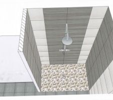 SdB : douche Italienne