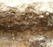 Toujours la terre dans le fond de forme