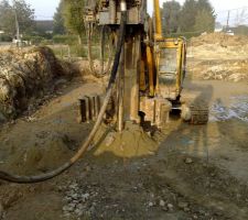 Voila les premier pieux