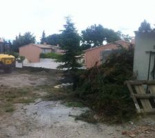 Les arbres ont &eacute;t&eacute;s coup&eacute;s (le sapin le sera aussi) et la cl&ocirc;ture enlev&eacute;e