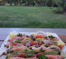 Miammmmm les bonnes sxalades de l'été !