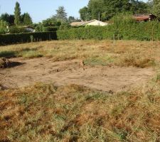 Les premier coups de godet