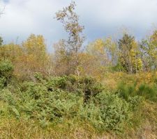 Le terrain en friche en octobre 2010