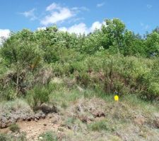 Quelques vues du terrain