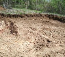 Premiers coups de pelleteuse