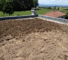 Végétalisation des toits !!!!!!

Et Hop ==== 20 M3 pour tout les toits