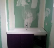 Photo de notre meuble de salle de bain avec une vasque de 1m20