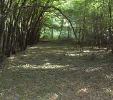 Voila le terrain a l achat