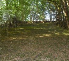 Le terain vue du bas