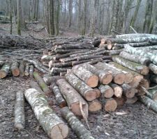 On debute le rangement du bois