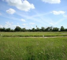 Vue de "mon" terrain en &eacute;tant sur le lot en face.