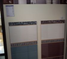 Carrelage salle de bain ? (&agrave; gauche)