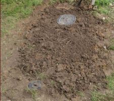 Trou rebouché, ni vu, ni connu :-)