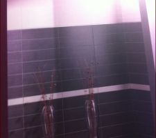 Choix de la faïence de la salle de bain