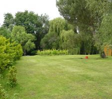 Une photo du terrain, tout en longueur, de la haie &agrave; gauche jusqu'&agrave; la cabane &agrave; droite.
On ne pourra malheureusement pas gard&eacute; les vignes, mais il y a un petit sous-bois au fond