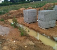 Après un mois de séchage voici notre jolie rizière , du soleil ce serait bien ...