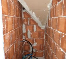 Les toilettes du haut !